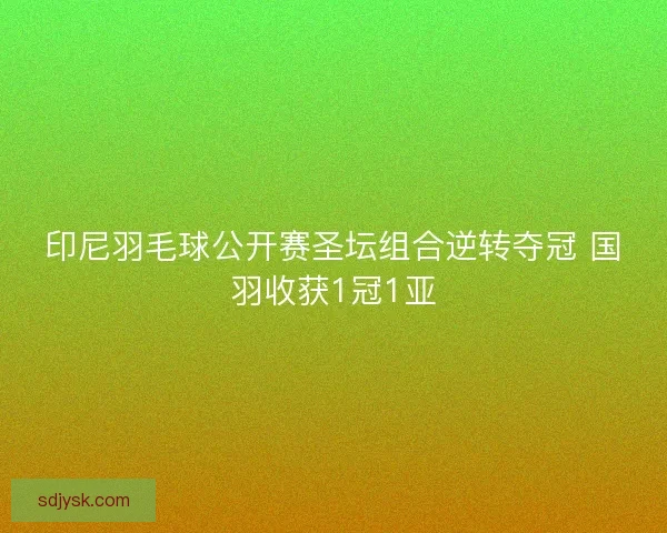 印尼羽毛球公开赛圣坛组合逆转夺冠 国羽收获1冠1亚