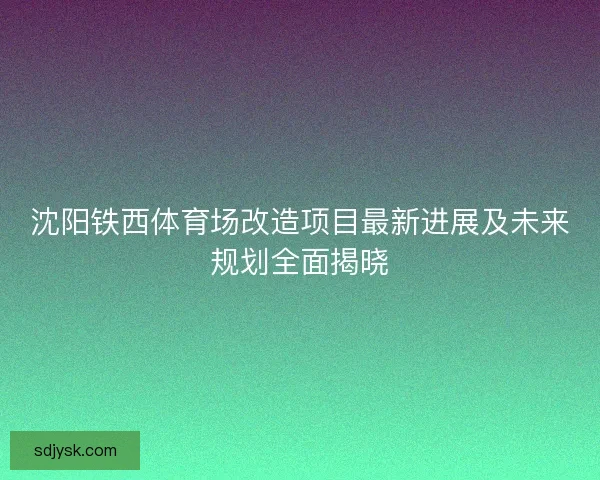 沈阳铁西体育场改造项目最新进展及未来规划全面揭晓