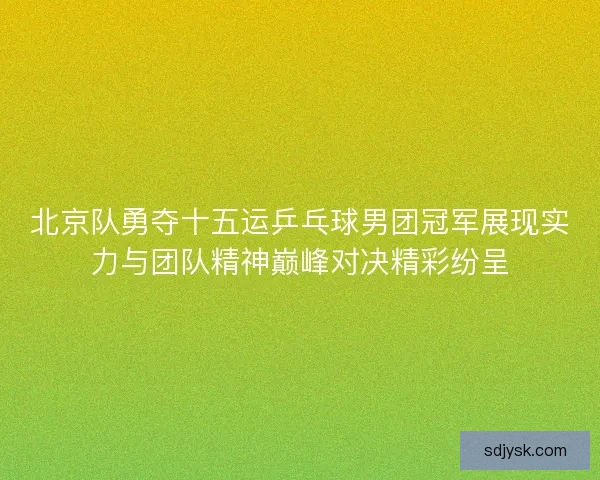 北京队勇夺十五运乒乓球男团冠军展现实力与团队精神巅峰对决精彩纷呈
