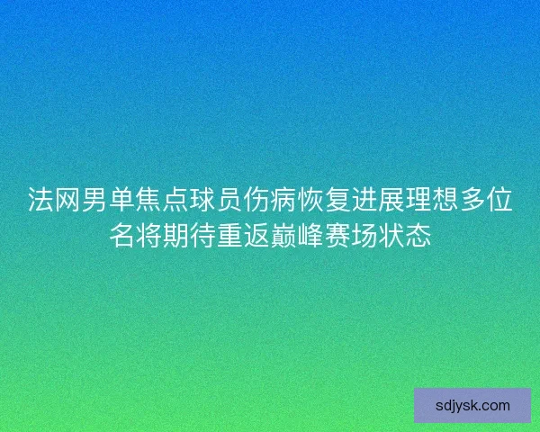 法网男单焦点球员伤病恢复进展理想多位名将期待重返巅峰赛场状态