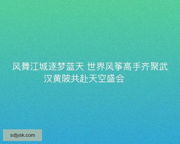 风舞江城逐梦蓝天 世界风筝高手齐聚武汉黄陂共赴天空盛会 🎏 风舞江城逐梦蓝天 世界风筝高手齐聚武汉黄陂共赴天空盛会 🎏